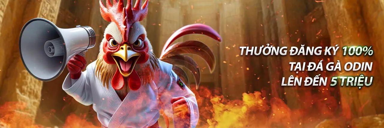 Cập nhật tin tức qibet mới nhất, sự kiện độc quyền và ưu đãi hấp dẫn