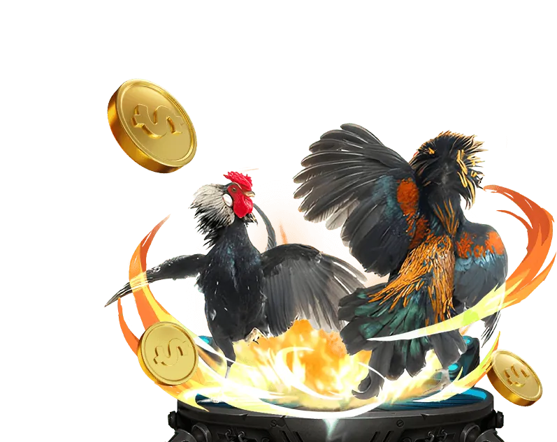 Báo cáo minh bạch và phân tích dữ liệu của qibet